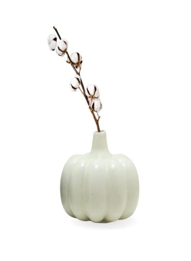 Mirakii Ceramic Black and White Small Pumpkin Vase of 10cm Set of 2, Decorate with Twigs, Small Flowers, Artificial Grass or Dried Cotton Branch, Filler Not Included (Black & White Set) - Image 5